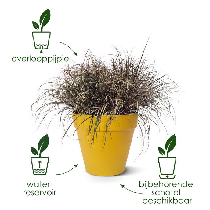 loft urban rond wielen 50cm lavendel lila